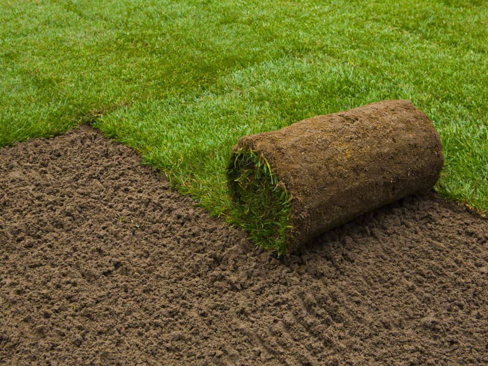 Turfing in Glamorgan